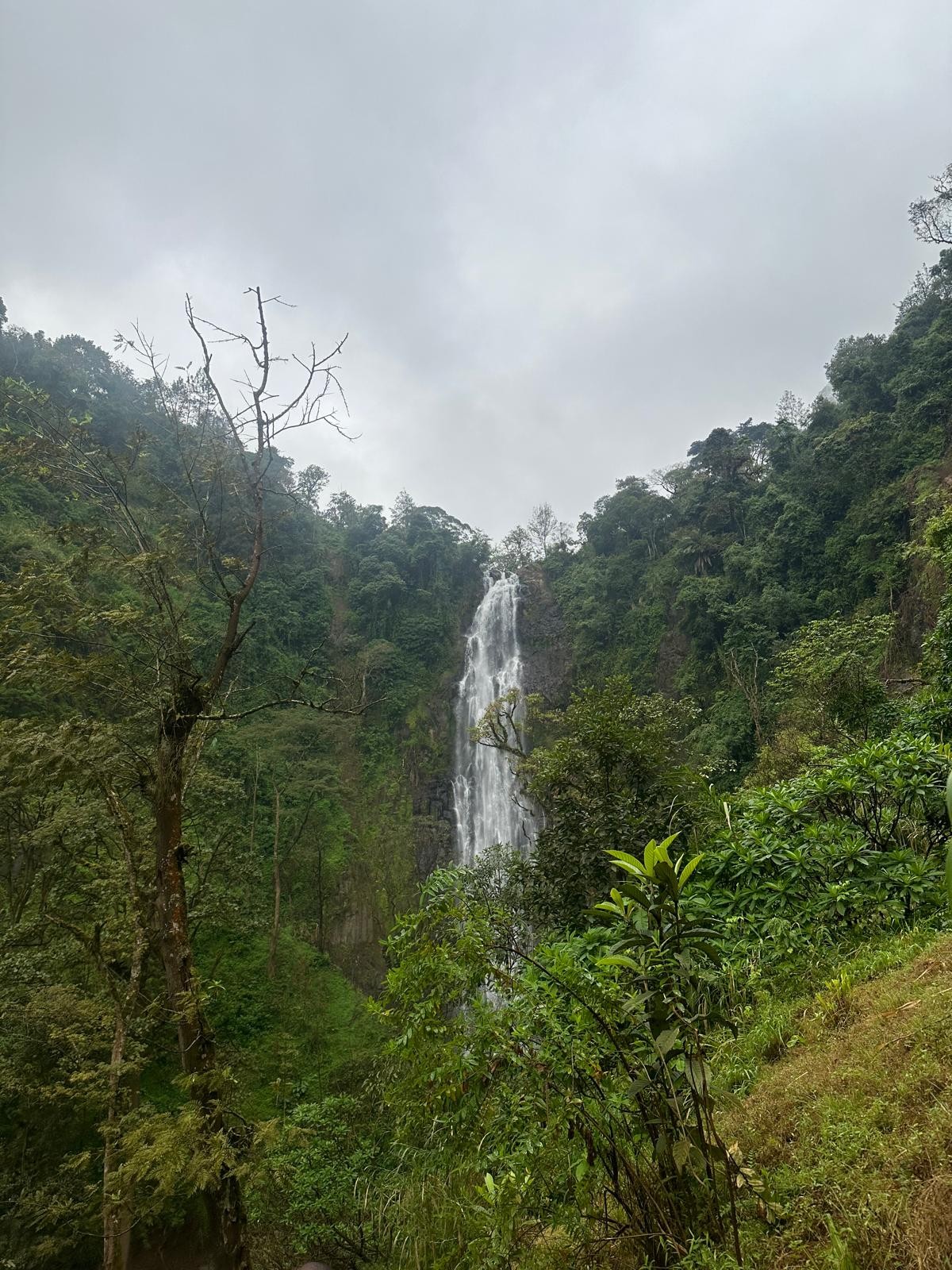 Materuni waterfall surrounded by rainforest near Moshi